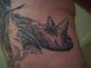 Rhino tattoo