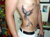 tribal phoenix tattoo