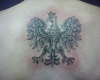 Polish eagle tattoo