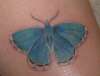 A new butterfly tattoo