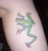 Frog tattoo