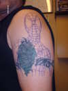 Before tattoo