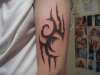 tribal tattoo