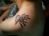 st.angel78..spider on ur back tattoo