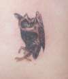 My Own little owl tattoo
