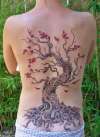 red maple tattoo