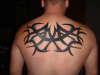 tribal tattoo