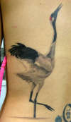 Amy's Crane tattoo