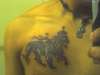 lion of judah tribal tattoo
