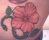 Flower tattoo