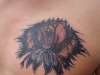 Bear (native) tattoo