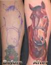 horse tattoo