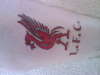 LFC tattoo