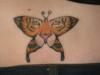 Tigerfly tattoo