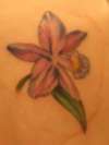 Orchid 2 tattoo
