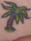 Thigh Palm Tree tattoo