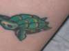 sea turtle tattoo