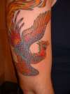 Phoenix tattoo