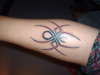 Tribal Spider tattoo