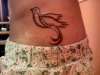 dove tattoo!