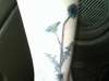 dandelions tattoo