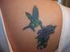 hummingbird tattoo