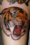 Tiger tattoo