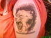 lion head tattoo