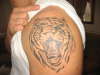 tiger tattoo