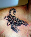 scorpion tattoo