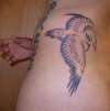 Homing Pigeon tattoo