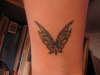 Butterfly to add to tattoo