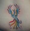 Gay Phoenix tattoo