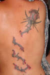 Finished Dark Rose tattoo