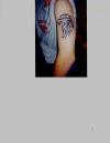 bird tattoo
