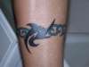 tribal sharks tattoo