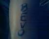 BEVO tattoo