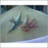 sparrows tattoo