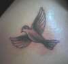Close up Dove tattoo