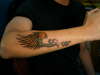 tatz done by st.angel78..fly away... tattoo