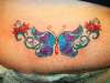 Butterfly crap tattoo