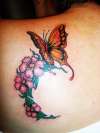 Butterfly crap tattoo