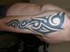 tribal, biceps. tattoo