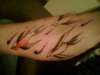 Unfinished Sparrows tattoo