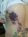 rose tattoo