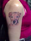 pet dog tattoo