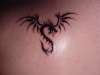 Small Tribal Dragon tattoo