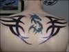 Tribal Dragon + Tribal wings! tattoo