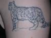 Snow Leopard tattoo