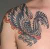 Finished Phoenix tattoo